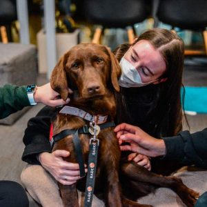 BARK Dogs with Students